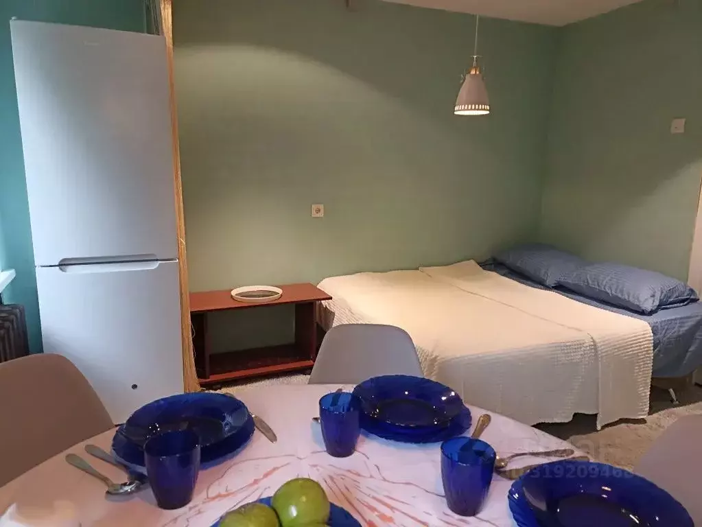 Студия Санкт-Петербург 1-й Муринский просп., 11 (22.0 м) - Фото 1
