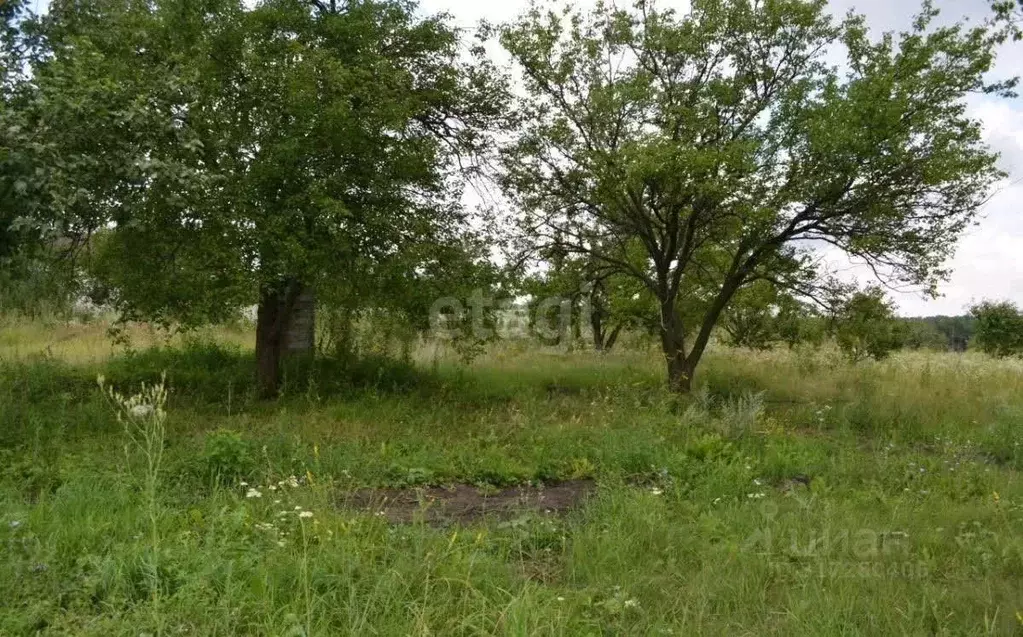 Участок в Белгородская область, Белгородский район, Крутологское ... - Фото 0