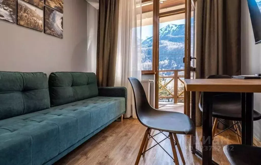 1-к кв. Краснодарский край, Сочи Красная Поляна пгт, ул. Вознесенская, ... - Фото 1