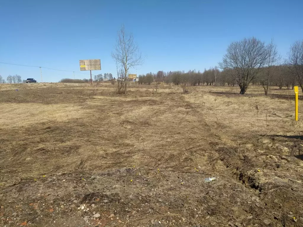 Участок в Владимирская область, Александровский район, д. Лизуново  ... - Фото 1