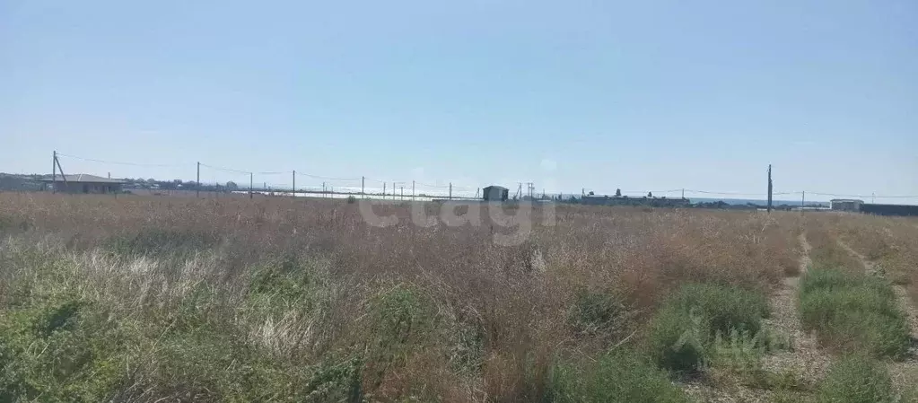 Участок в Крым, Феодосия муниципальный округ, с. Береговое ул. ... - Фото 1