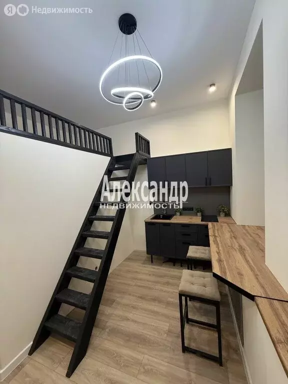 Квартира-студия: Санкт-Петербург, Клинский проспект, 21 (22 м) - Фото 1