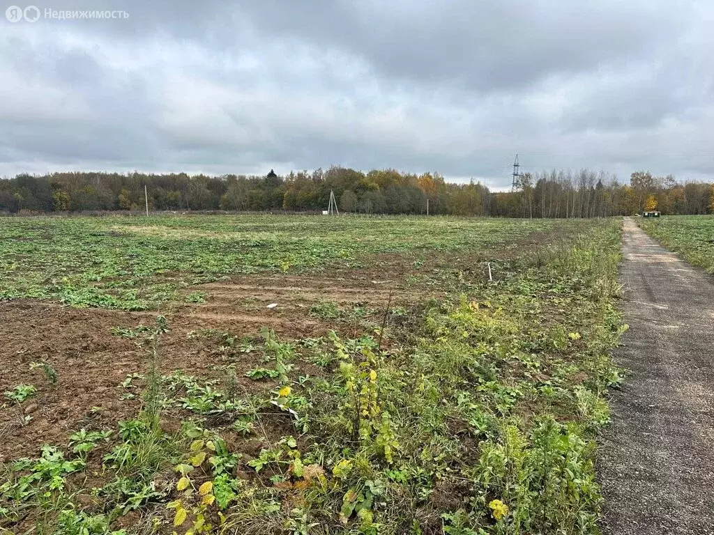 Участок в Московская область, городской округ Клин, деревня Кленково ... - Фото 0