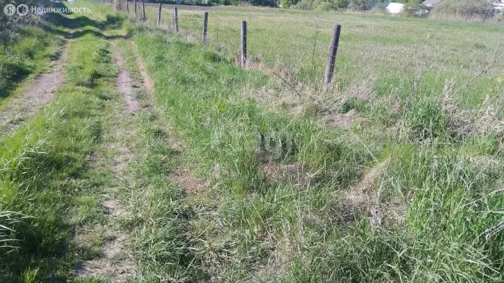 Участок в Белгородский район, Пушкарское сельское поселение, село ... - Фото 2