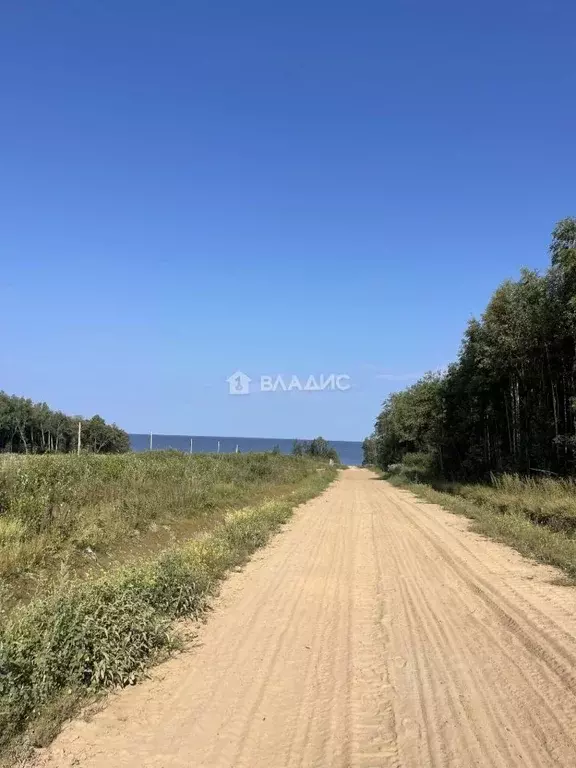 Участок в Ярославская область, Рыбинский муниципальный округ, д. ... - Фото 1