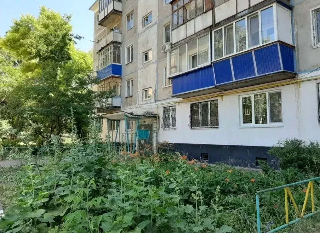 3-к кв. Оренбургская область, Оренбург просп. Победы, 156/3 (46.0 м) - Фото 1