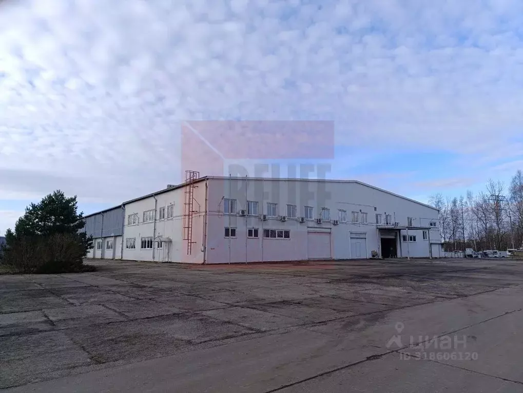 Производственное помещение в Калининградская область, Светловский ... - Фото 0