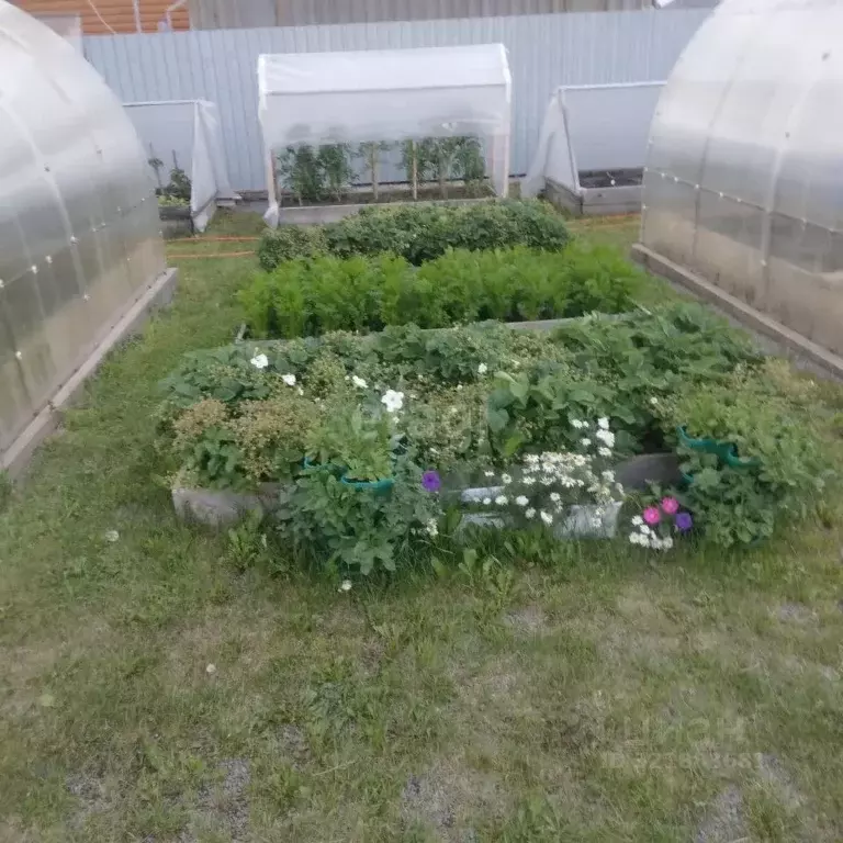 Участок в Свердловская область, Белоярский муниципальный округ, пос. ... - Фото 1