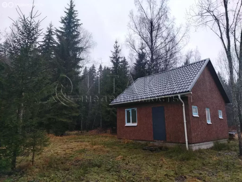 Дом в Толмачёвское городское поселение, деревня Островёнка (72 м) - Фото 1