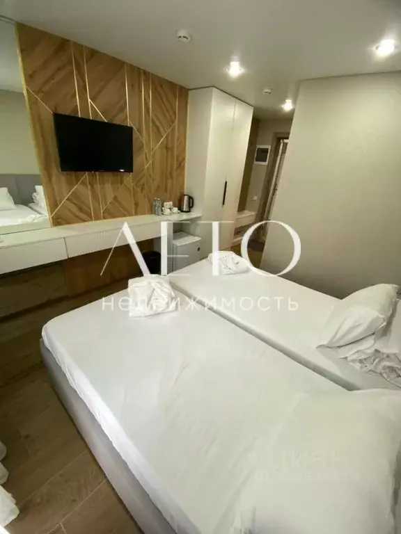 Студия Краснодарский край, Сочи Главная ул., 17/30 (17.0 м) - Фото 2