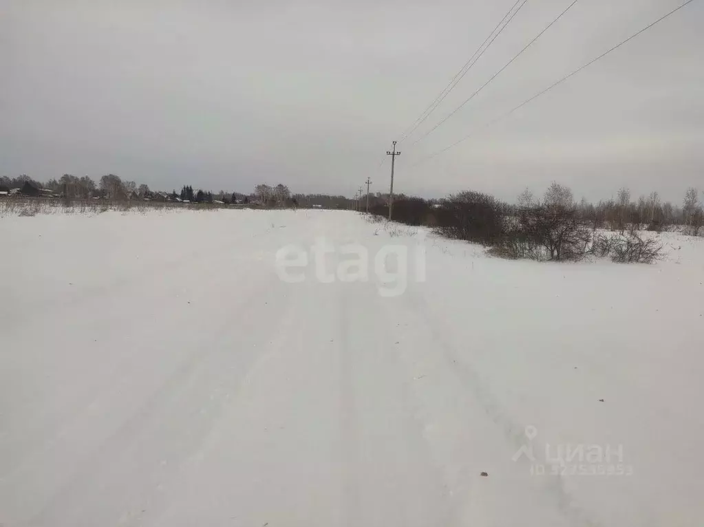 Участок в Новосибирская область, Новосибирский район, Морской ... - Фото 1