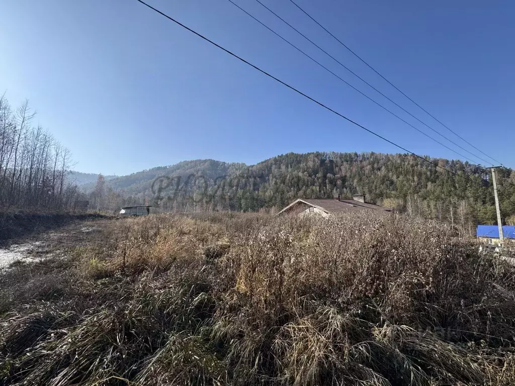 Участок в Алтай, Майминский район, Манжерокское с/пос, с. Озерное ул. ... - Фото 2