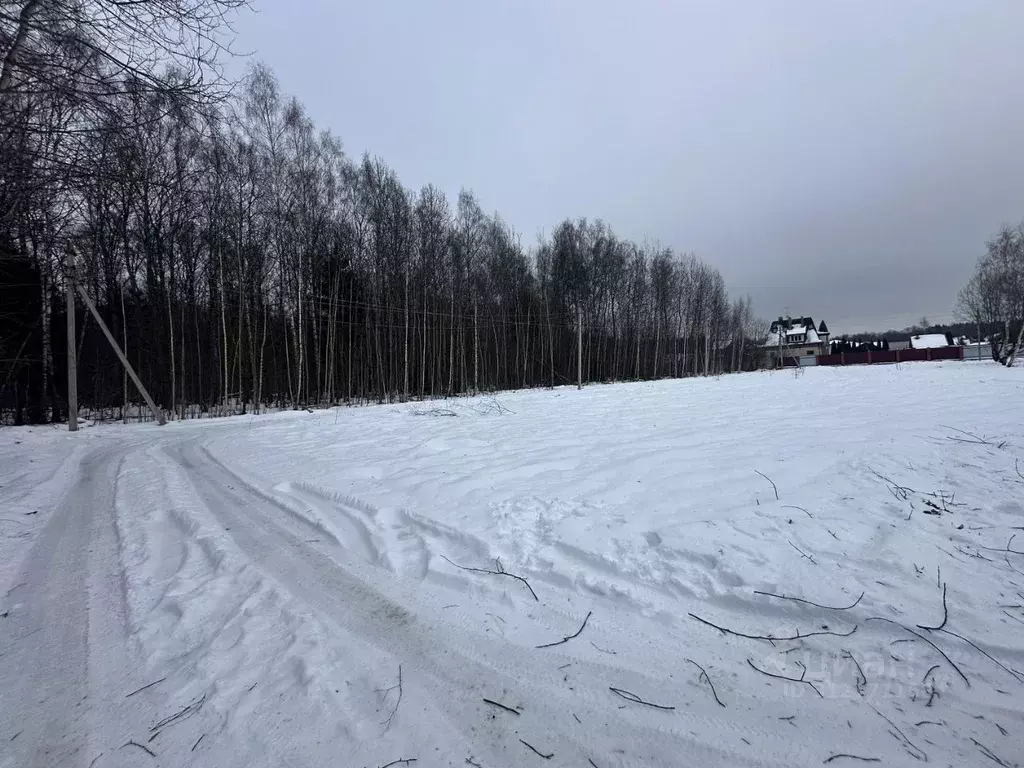 Участок в Москва Высокое СНТ, 67 (3.0 сот.) - Фото 1