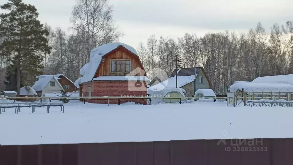 Участок в Новосибирская область, Новосибирск Радист СНТ,  (8.0 сот.) - Фото 1