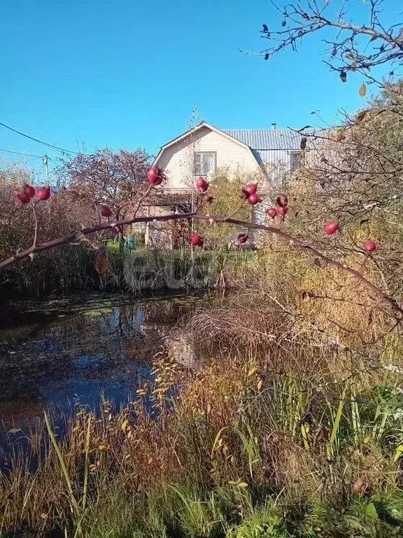 Дом в Ленинградская область, Никольское Тосненский район, Лесное-3 ... - Фото 1