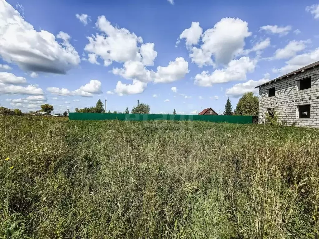 Дом в Новосибирская область, Мошковский район, с. Барлак Центральный ... - Фото 0