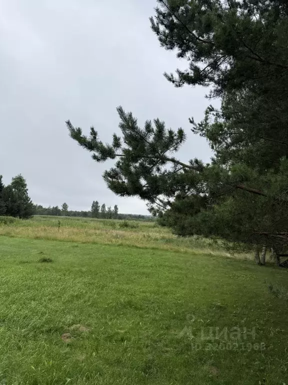 Участок в Тверская область, Конаковский муниципальный округ, д. ... - Фото 1
