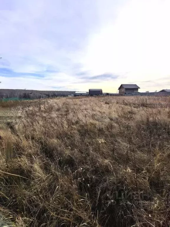 Участок в Красноярский край, Емельяновский муниципальный округ, с. ... - Фото 2