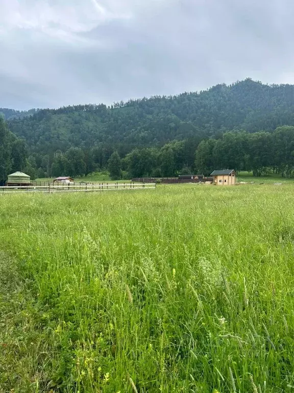 Участок в Алтай, Чемальский район, с. Турбаза Катунь  (10.0 сот.) - Фото 1