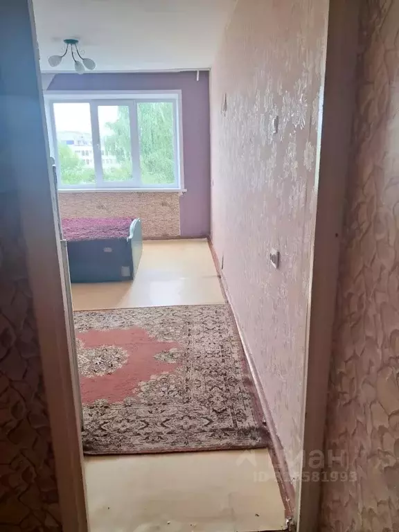 Студия Кемеровская область, Кемерово Ленинградский просп., 28 (23.0 м) - Фото 1