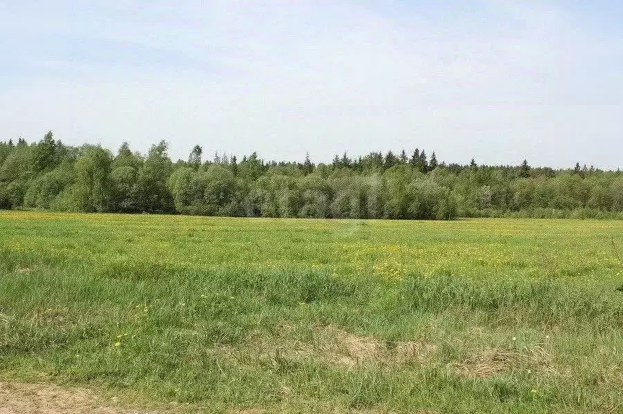 Участок в Архангельская область, Котласский муниципальный округ, ... - Фото 1