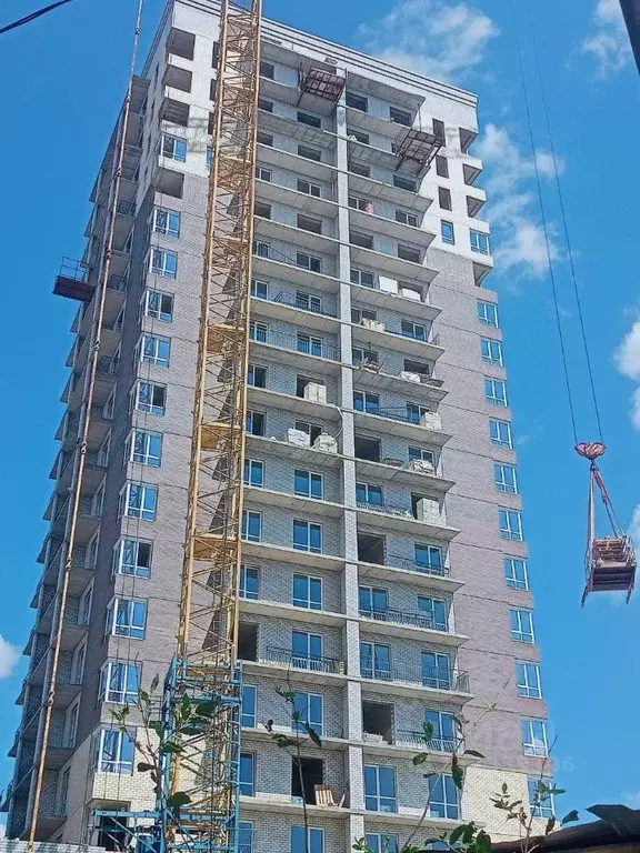 2-к кв. Волгоградская область, Волгоград Ангарская ул., 9А (78.0 м) - Фото 2