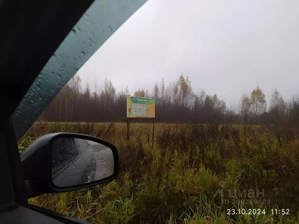 Участок в Ярославская область, Рыбинский район, д. Назарово ул. ... - Фото 0