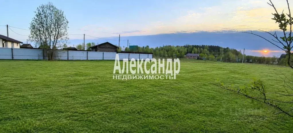 Участок в Карелия, Питкярантский муниципальный округ, Урочище Пелля ... - Фото 2