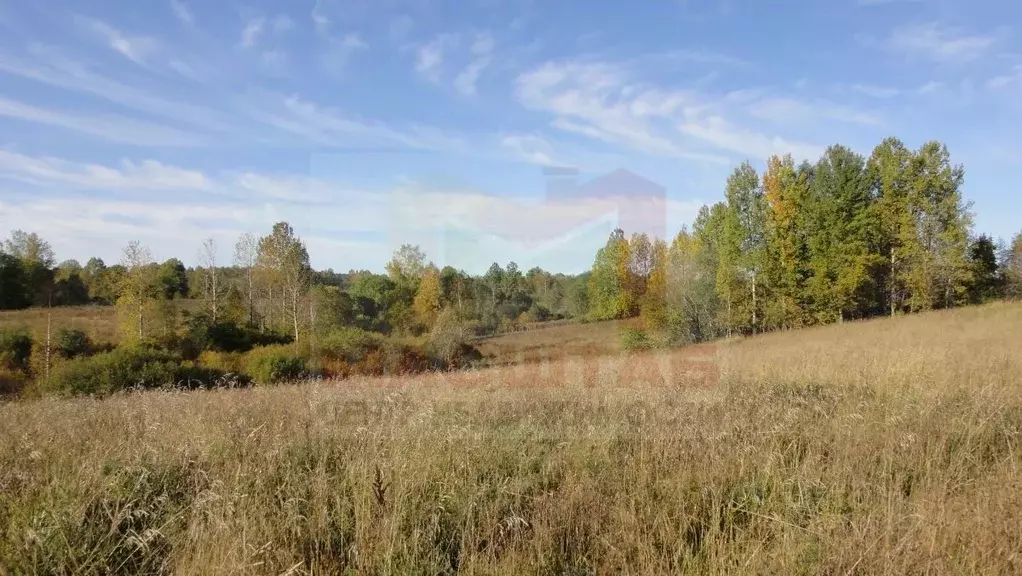 Участок в Ленинградская область, Сланцевский район, Старопольское ... - Фото 2