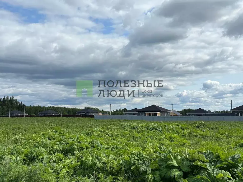Участок в Кировская область, Слободской район, Шиховское с/пос, д. ... - Фото 0