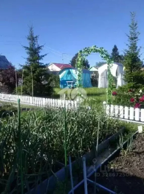 Дом в Новосибирская область, Новосибирск Березовая Роща СТ, 347 (42 м) - Фото 1