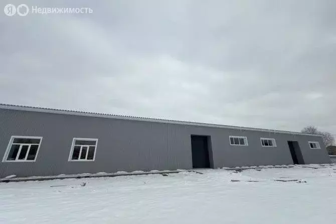 Помещение свободного назначения (574 м) - Фото 1