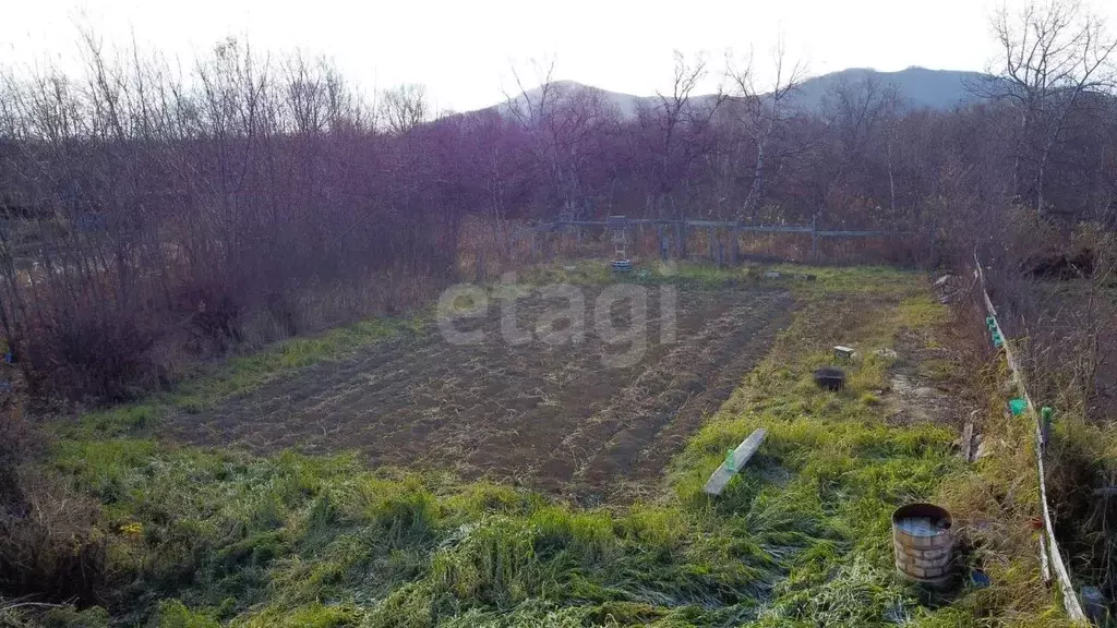 Участок в Камчатский край, Елизовский муниципальный округ, Березка СНТ ... - Фото 1