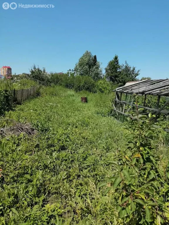 Дом в Кемерово, СНТ Мичуринские Сады АО КОКС, улица 2-я аллея (22 м) - Фото 1