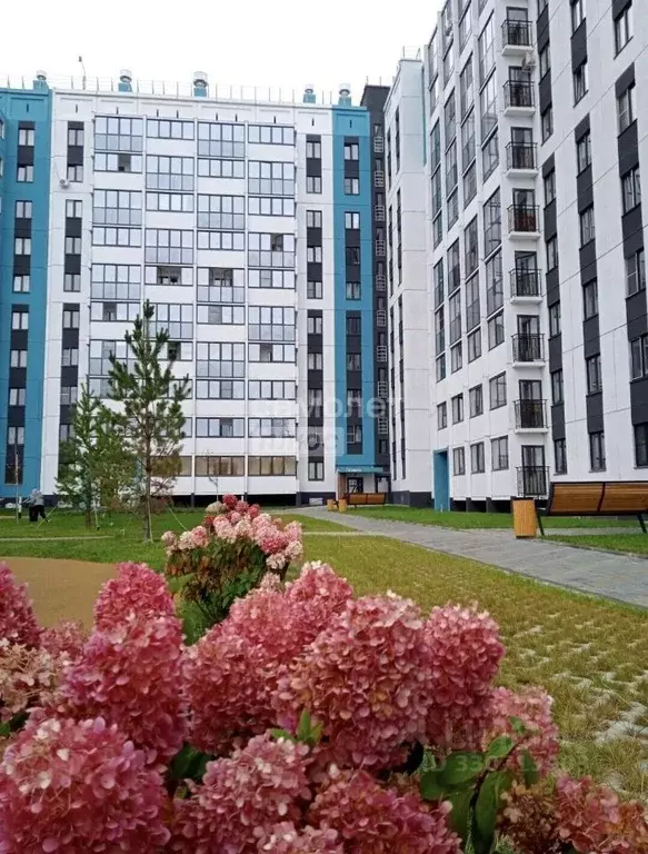 Студия Челябинская область, Челябинск пос. Западный, ул. Дружбы, 1 ... - Фото 1