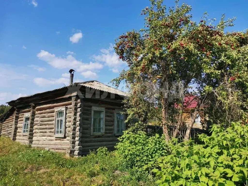 Дом в Новосибирская область, Ордынский район, с. Спирино ул. Ленина ... - Фото 0