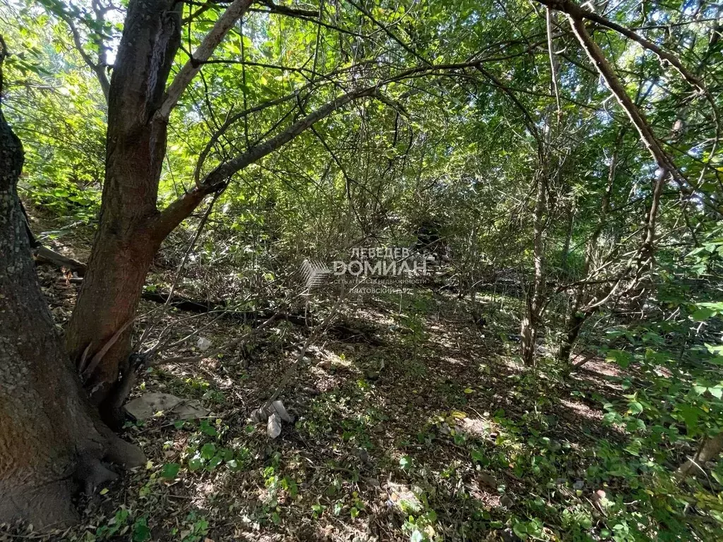 Участок в Ростовская область, Новочеркасск ул. Ефремова, 140 (13.5 ... - Фото 1