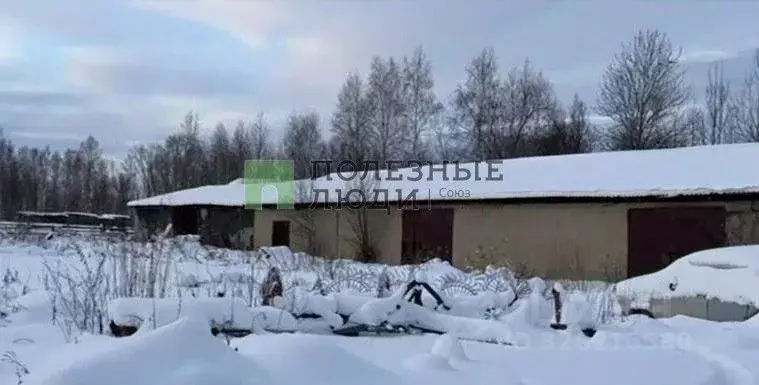 Склад в Томская область, Колпашево ул. Науки, 20с9 (782 м) - Фото 2