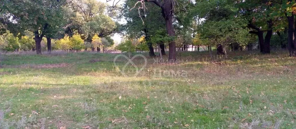 Участок в Волгоградская область, Среднеахтубинский район, Фрунзенское ... - Фото 1