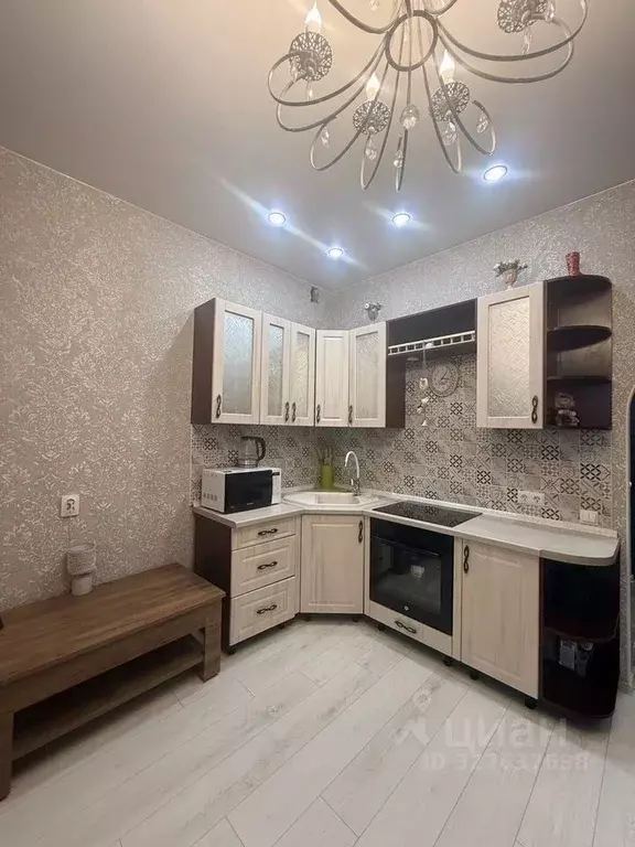 Студия Ленинградская область, Гатчина ул. Чехова, 43к1 (23.0 м) - Фото 2