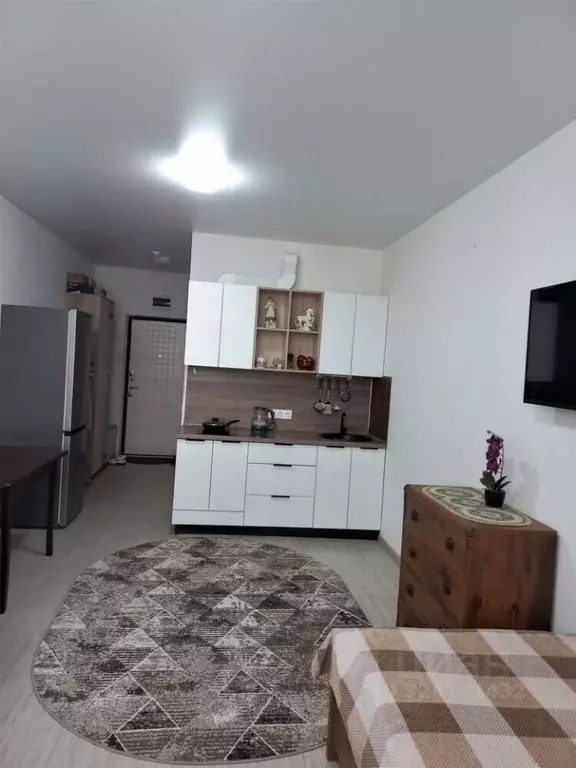 Студия Краснодарский край, Анапа ш. Супсехское, 39к16 (28.0 м) - Фото 2