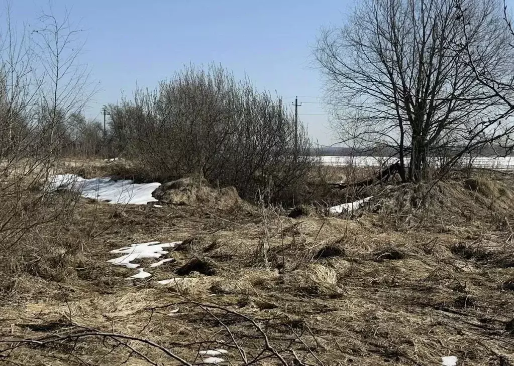 Участок в Московская область, Можайский муниципальный округ, д. Сельцы ... - Фото 1