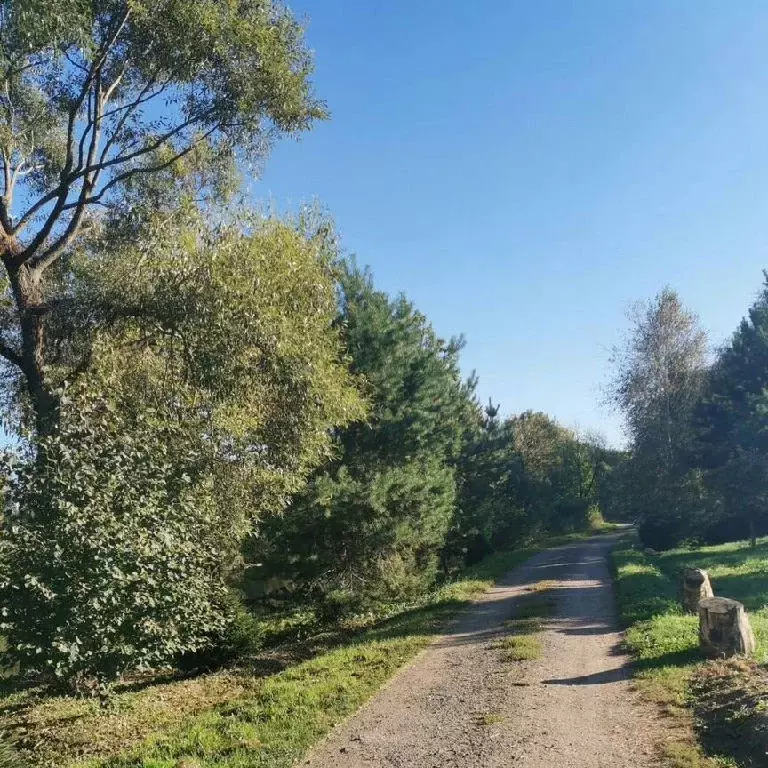 Продается участок в д. Васильево - Фото 1