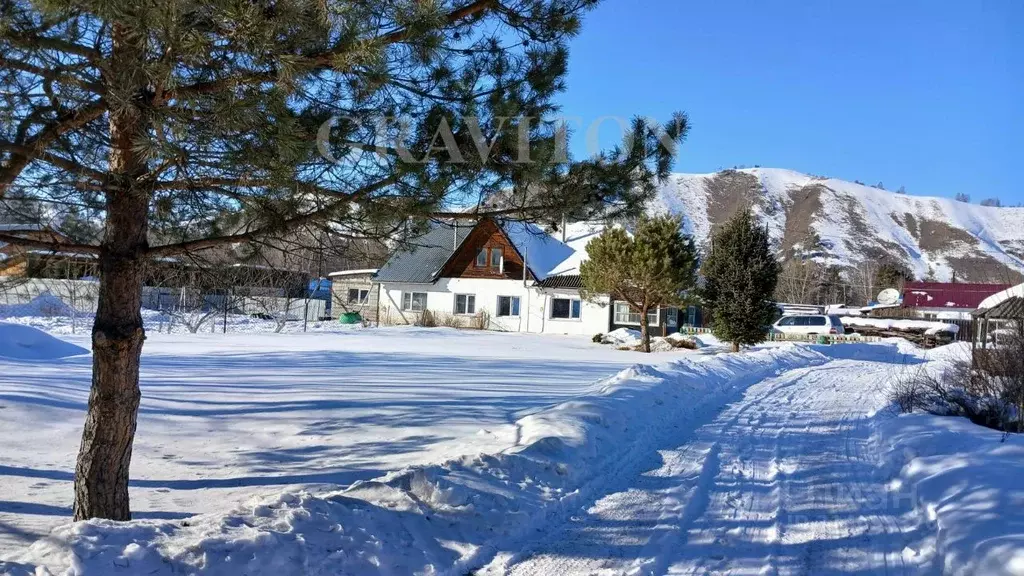 Дом в Алтай, Майминский район, с. Соузга Центральная ул. (59 м) - Фото 1