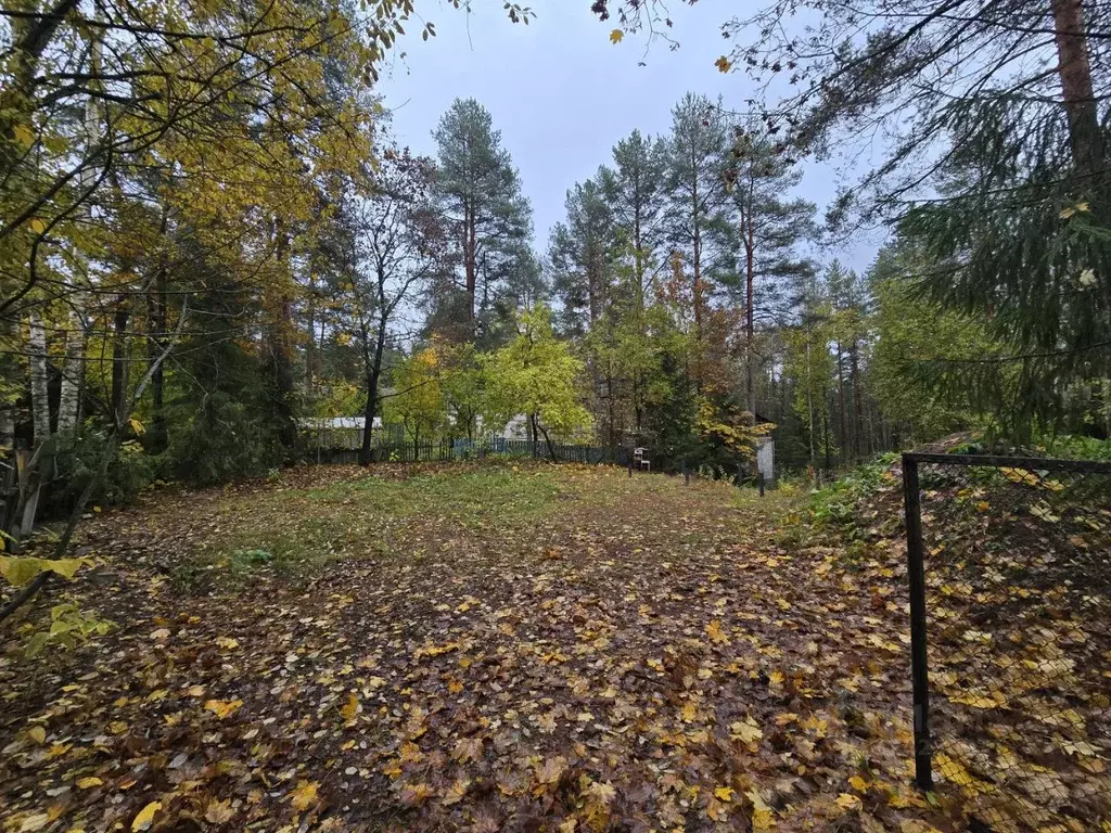 Участок в Ленинградская область, Приозерский район, Сосновское с/пос, ... - Фото 1