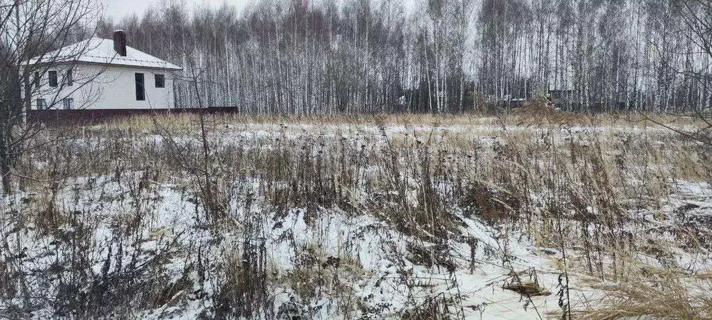 Участок в Московская область, Кашира Ожерелье мкр, ул. Березовая ... - Фото 0