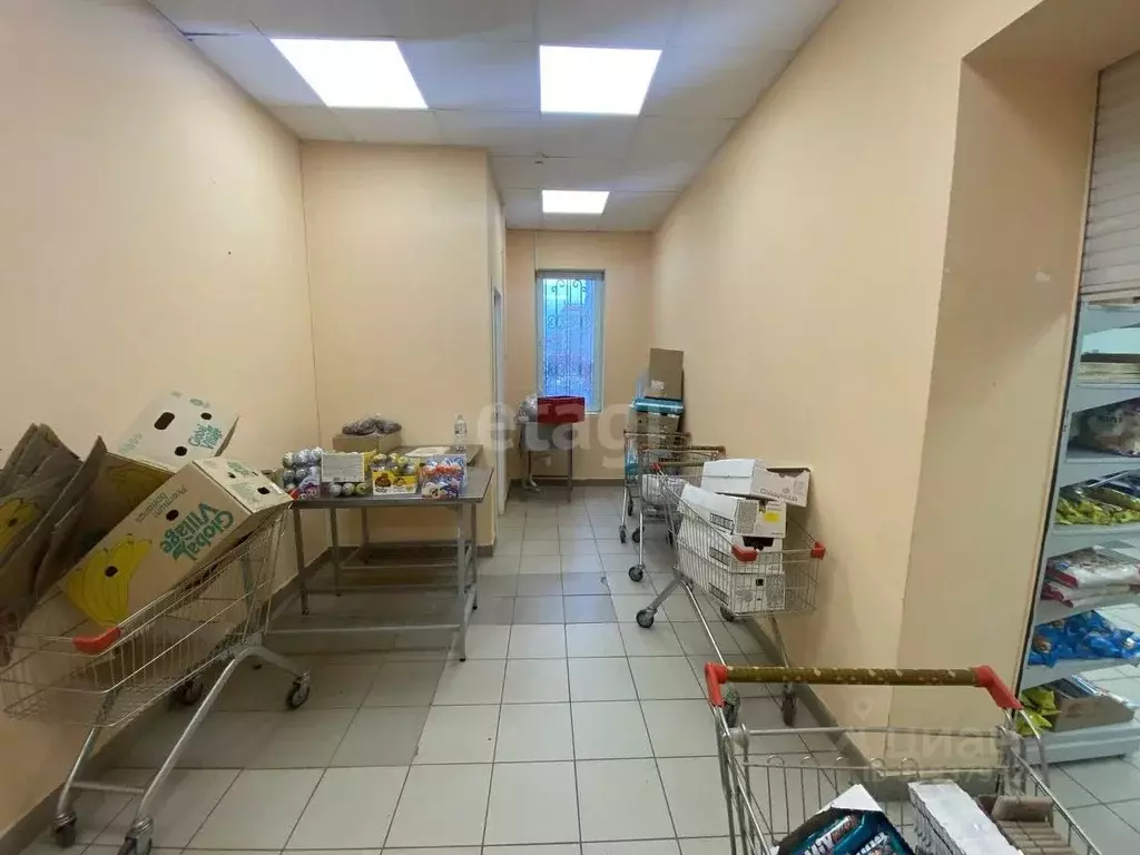 Офис в Коми, Сыктывкар ул. Свободы, 33 (19 м) - Фото 1