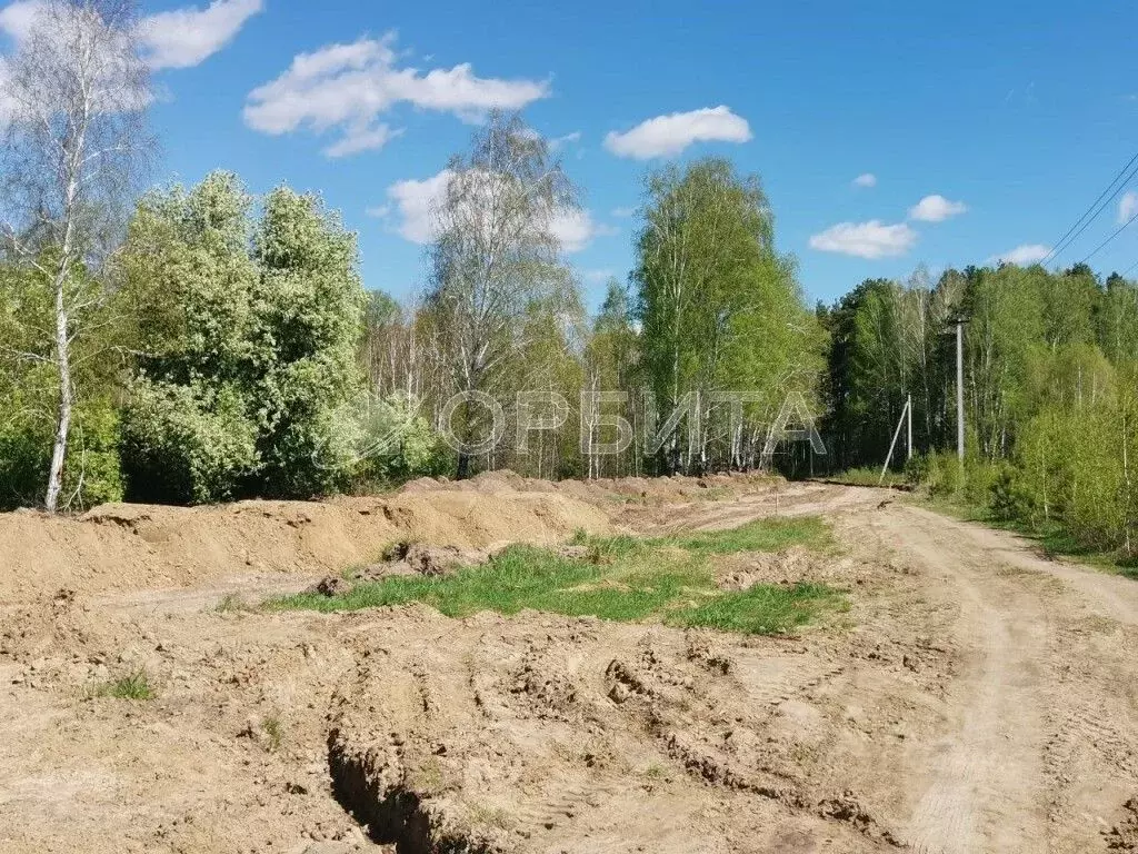 Участок в Тюменская область, Нижнетавдинский район, Венеция СНТ  (7.0 ... - Фото 0