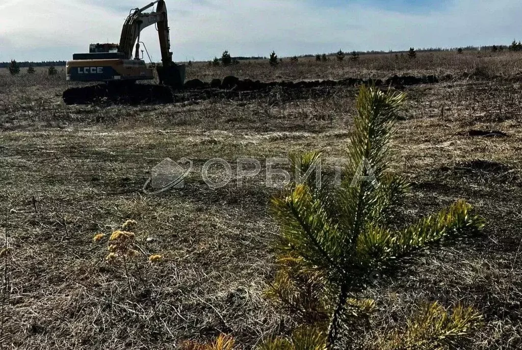 Участок в Тюменская область, Тюменский район, д. Елань 14 (6.47 сот.) - Фото 1