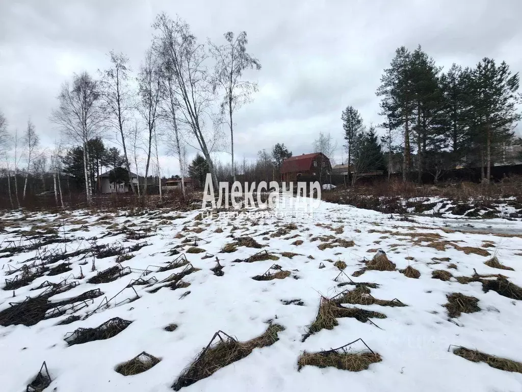 Участок в Ленинградская область, Приозерский район, Ларионовское ... - Фото 1